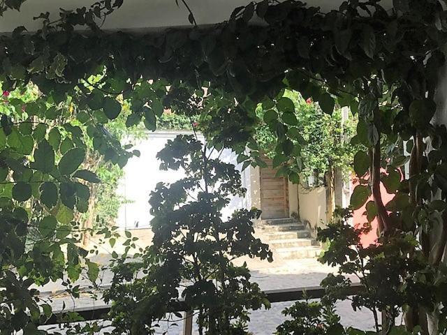 Apartamento Com 2 Quartos No Centro De Pipa Praia de Pipa エクステリア 写真
